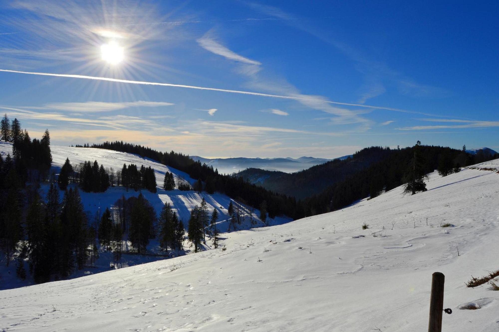 Haus Findling, 10 Personen, Schluchsee, Hochschwarzwaldkarte ภายนอก รูปภาพ