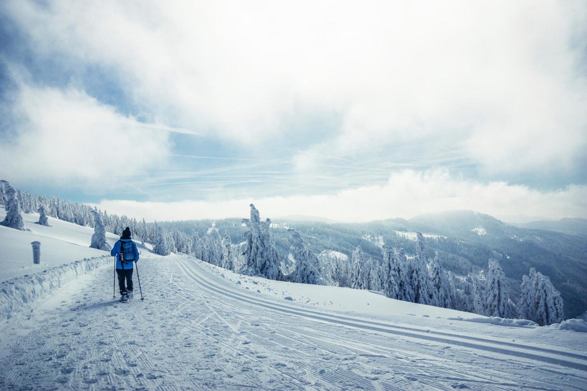 Haus Findling, 10 Personen, Schluchsee, Hochschwarzwaldkarte ภายนอก รูปภาพ