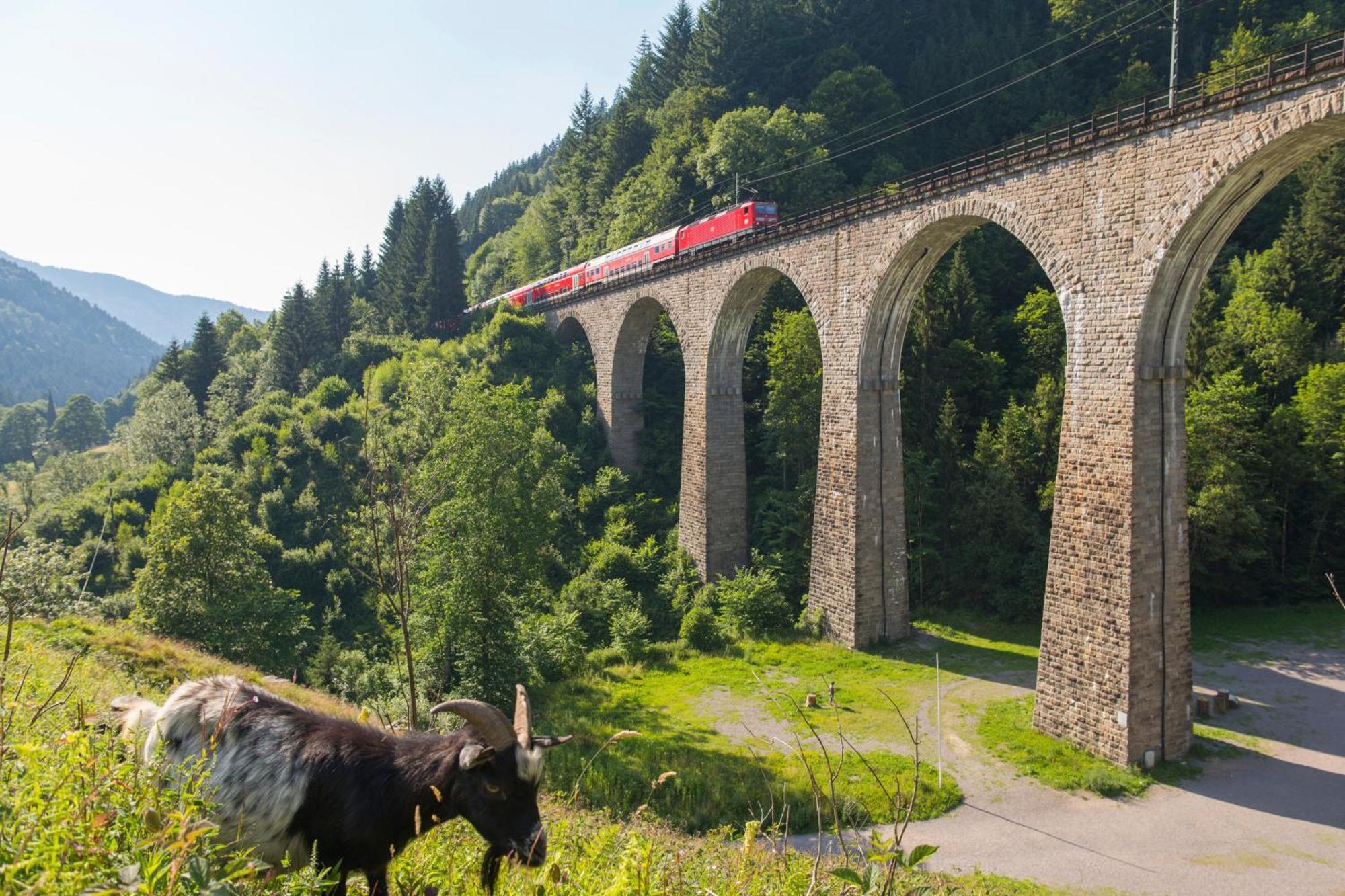 Haus Findling, 10 Personen, Schluchsee, Hochschwarzwaldkarte ภายนอก รูปภาพ
